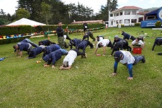 voluntarios ejercicios