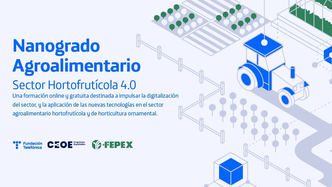 Nanogrados: profesionales 4.0