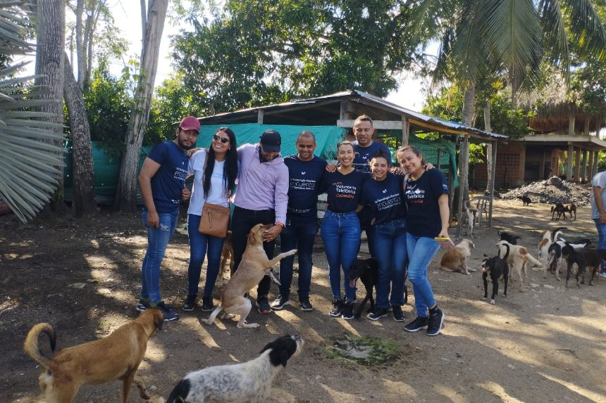 Fundación restaurando hogar de animales