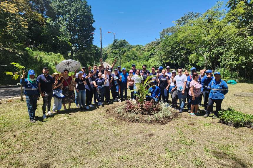 Fundación siembra árboles