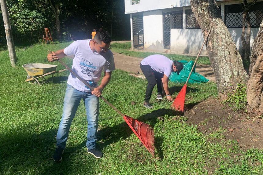 Sembrando árboles