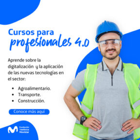 Profesionales 4.0